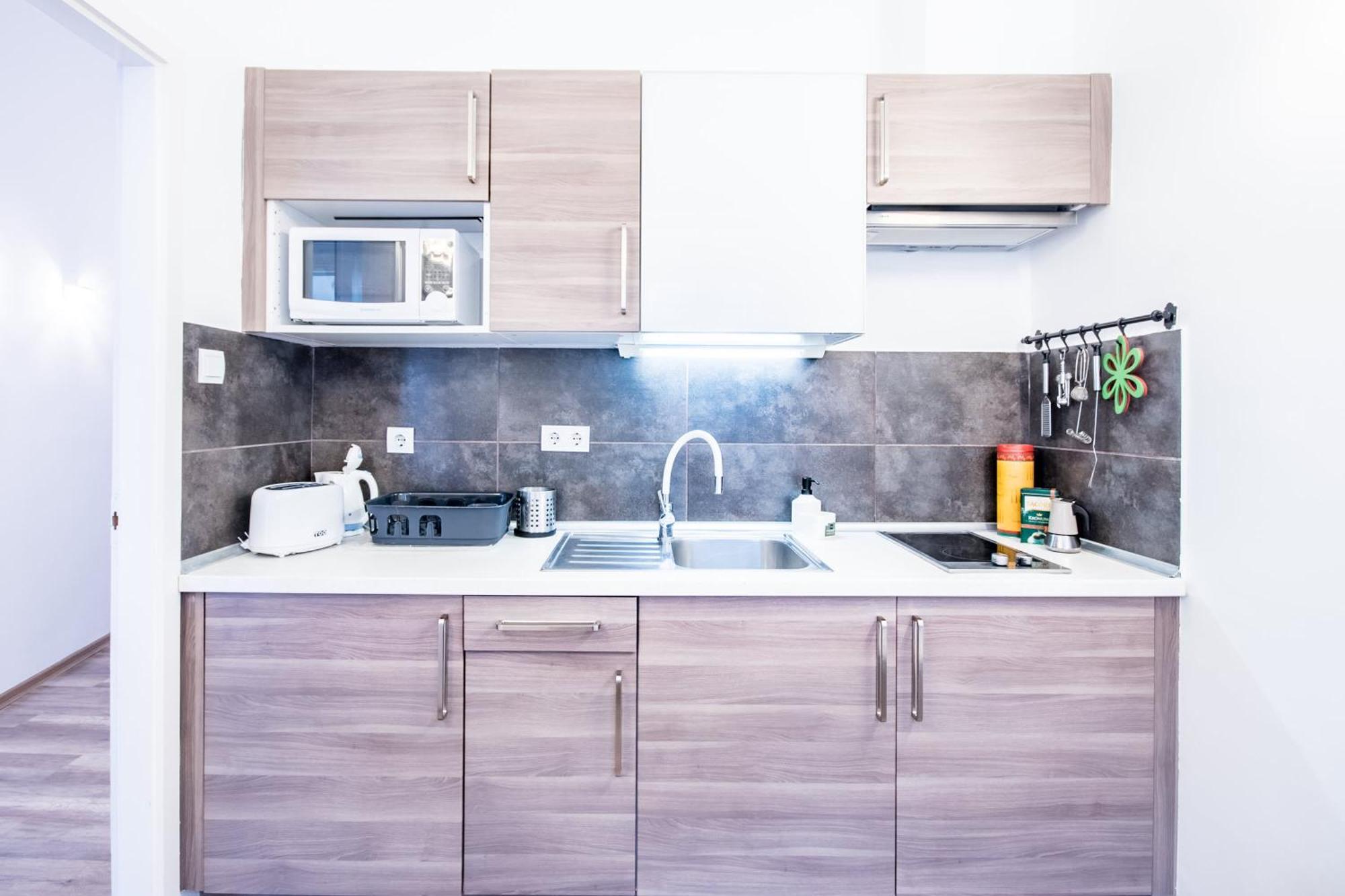 Ultra - Spacious - Noice Apartament *
